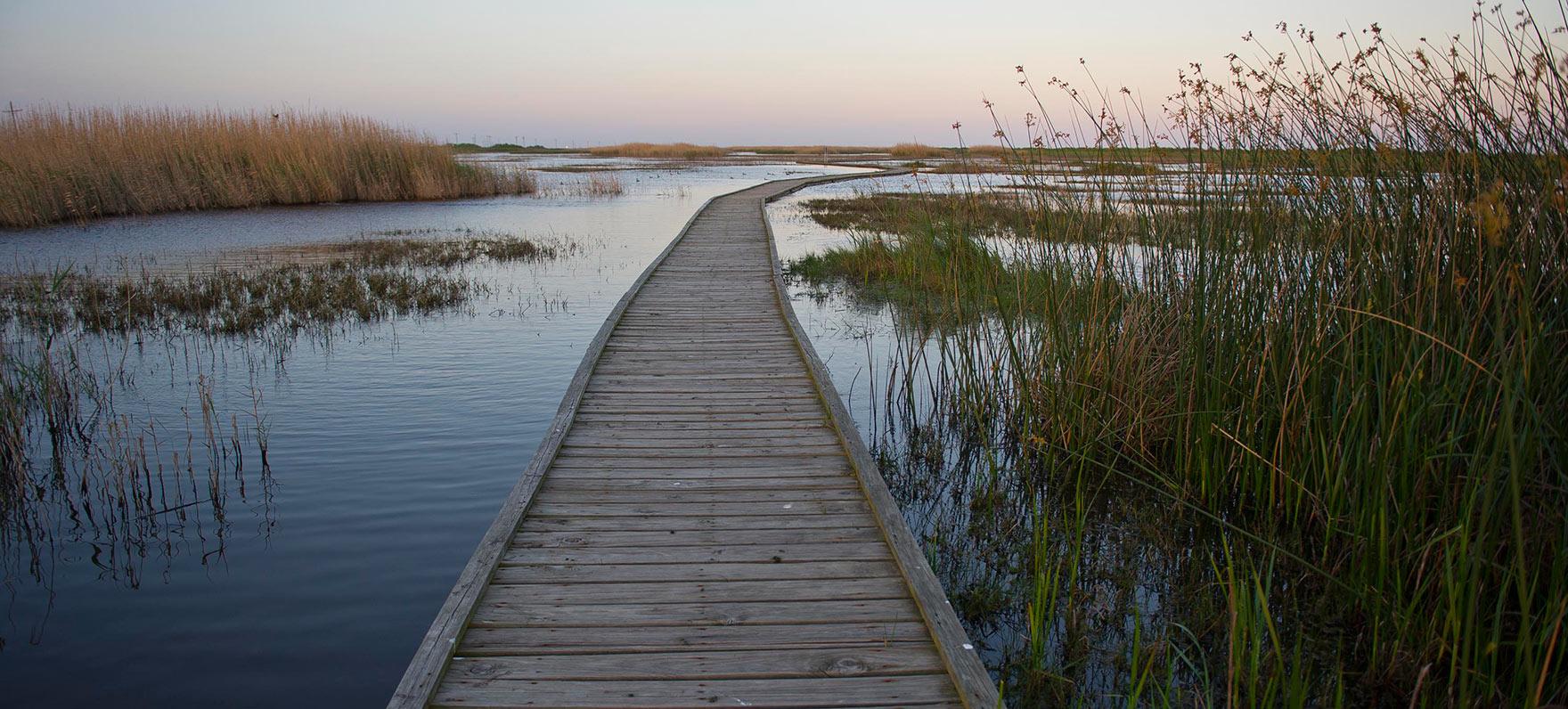 Sea Rim Tx Campground Details - Sea Rim State Park, TX - Texas State Parks